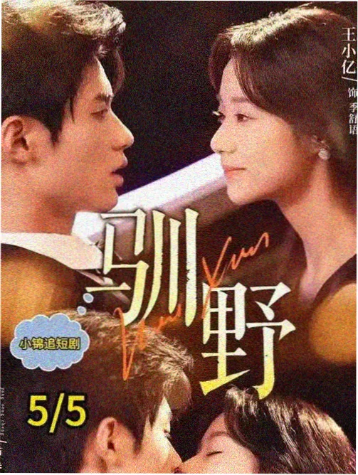 诺亚之翼最终决战场景示意